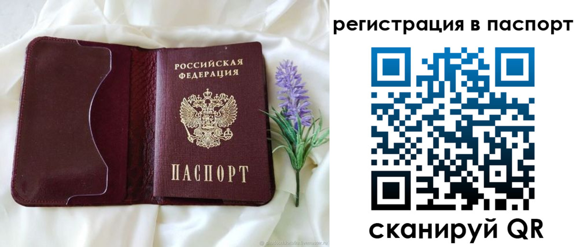 временная регистрация для всех в Светлогорске