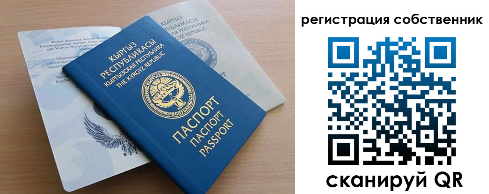 миграционный учет в Светлогорске
